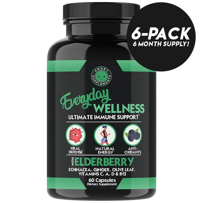 Everyday Wellness Immunity Support: Elderberry Vitamin C Ginger 6PK