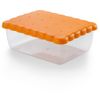 Snips Rectangular Biscuit Saver, Brown/Clear