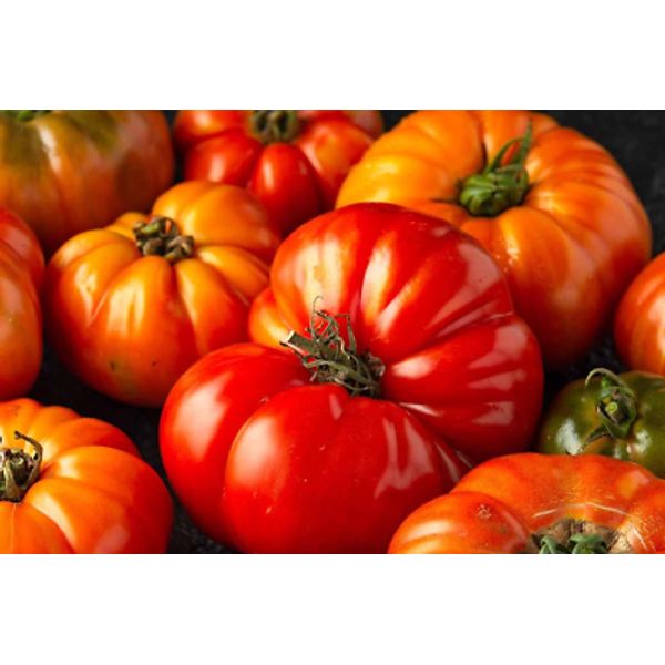 500 Beefsteak Tomato Seeds, Non-Gmo, Heirloom, Organic Seeds for Your Vegetable