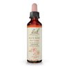 Bach Original Flower Remedy Dropper 20 ml Flower Essence, Rock Rose, 0.7 Fl Oz