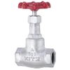 Kitz 10K 3/8 10SD10A Globe Valve with Zisk