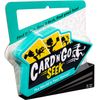 Card 'N' Go Seek Game