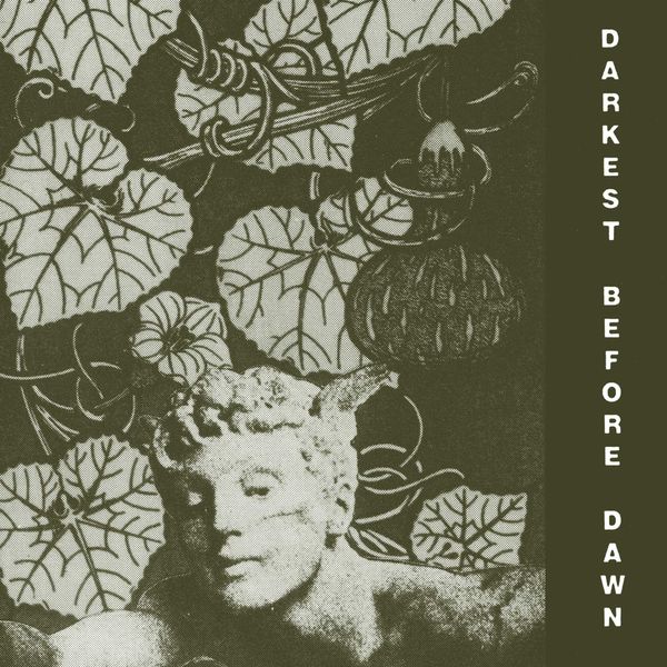 Darkest Before Dawn [VINYL]