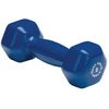 Vinyl Dumbbell [Set of 2] Size: 5 lbs