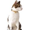 Petio Gorgeous Cat Collar (Gold)
