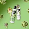 ORGANIC SHOP Article Moisturising Champu Cable Seco 280 ml