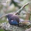 EUGY 003 Tui Eco-Friendly 3D Paper Puzzle