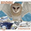 Barn Owl Pellet (Small 1.0-1.5") 1 Pack Kit for Science Teachers and Students Includes Tools & Chart