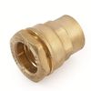 Polyethylene Transition Brass 32 mm x 1 Inch Internal Thread