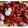 Organic Hot Sauce 🌶️