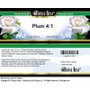 Bianca Rosa Plum 4:1 Cream (2 oz, ZIN: 521183) - 2 Pack