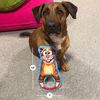 FUZZU Grab Nabbers Dog Toy with Squeaker (Earl The Squirrel)