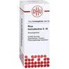 DHU Rhus Toxicodendron D30 Litter Balls 10 g Globules