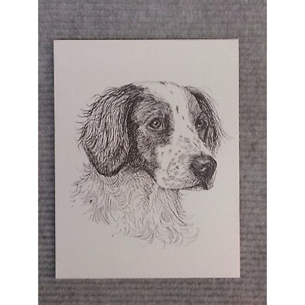 Brittany Spaniel Pen and Ink Stationary Cards, Note Cards, Greeting Cards. 20pk