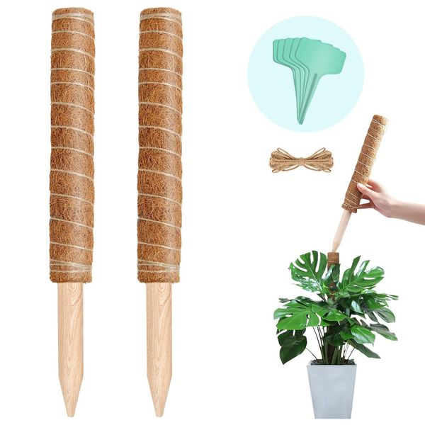 YOUSHY Garden Stanch, House Plants Monstera, Hego Strut Vine Plants, Cocostick, Plant Support Flower Stand, Coconut Flower Support, Gardening, Agriculture, Gardening (2 Pieces, 15.7 inches (40 cm),