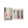 Dr .Health Pain Relief Plaster (10pcs)