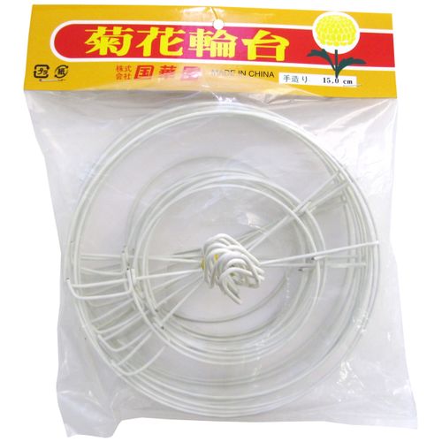 Kokkaen Super Chrysanthemum Randai, White, Diameter 5.9 inches (15 cm), Pack of 10