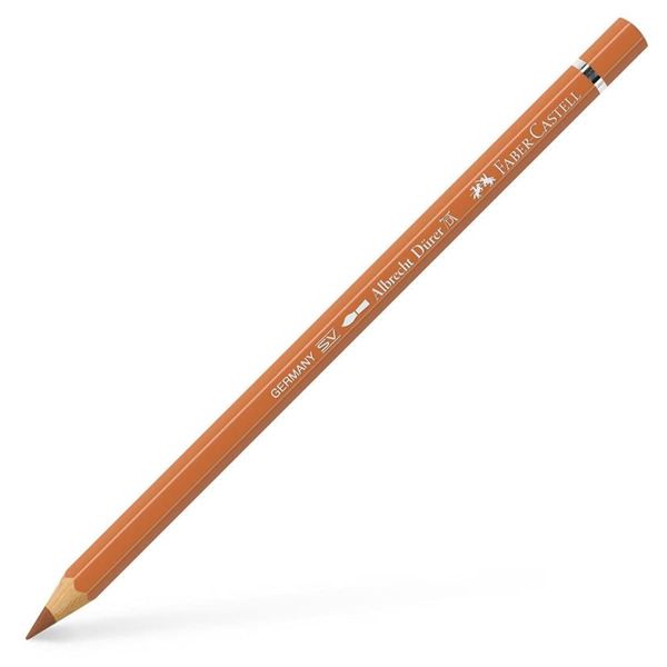 Coloured Pencil A.Durer 87