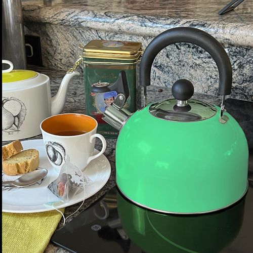Lily's Home 2 Quart Stainless Steel Whistling Tea Kettle, the Perfect Stovetop Tea and Water Boilers for Your Home, Dorm, Condo or Apartment. (Pastel Green)
