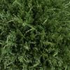 32” Topiary Cedar Ball Artificial Shrub Tree UV (Indoor/Outdoor). Retail $249