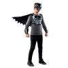 DC Justice League Batman Hero-Ready Set