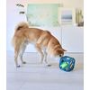 Outward Hound Puzzle Cube Interactive Squeaky Dog Toy