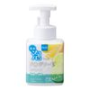 Medicated Foam Hand Soap, 8.5 fl oz (250 ml)