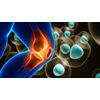 2 CELULAS MADRE STEM CELL ENHANCER 120 CAPSULES REGENERADOR MOBILITY PILLS