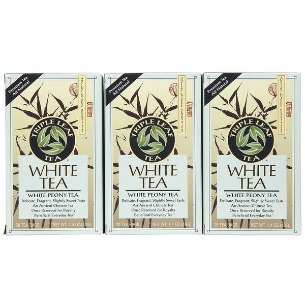 Triple Leaf White Tea - 20 bags per pack -- 6 packs per case.