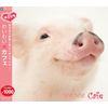 【ゆるクラ】わいわい カフェ