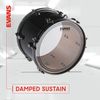 Evans B10EC2S 25,40cm (10 Zoll) Tomfell, doppelschichtig EC2 SST