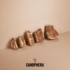 Canophera - Dog Chew Root Made of Briar Wood (Medium)