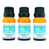 Crazy Candles Coconut Lime Verbena (Made in USA) 3 Bottles 1/2 FL Oz Each (15ml) Premium Grade Scented Fragrance Oil