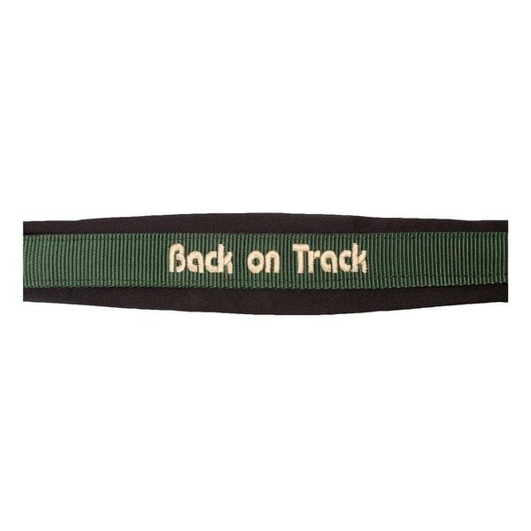 Back on Track Welltex® Werano Headcollar (Full, Green)