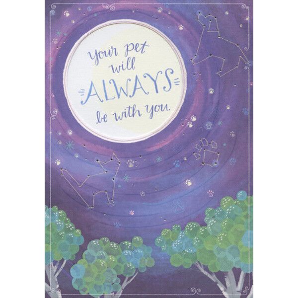 Cat and Dog Constellations Pet Sympathy Card Greeting Card by Designer Greetings