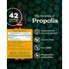 Herb Pharm Propolis Extract for Immune System Support - 1 Ounce