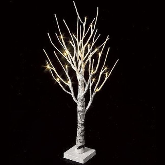 LED Birch Tree (S) | Christmas (Xmas) Illumination/Lighting Production (S)