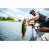 Heddon Spin'N Image - Black Shiner - 3.5"