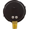 Pentair 190058Z Pressure Gauge, Black