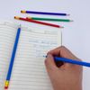 LCPQMZGH 48 Pcs Erasable Checking Pencils, Pre-Sharpened, for Marking, Coloring, Tests, Grading, Office, School (Blue)