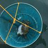 MIXEL Crab Drop Net With Bait Bag, Weather-Resistant Design, UV-Resistant Coating, Versatile, Durable, And Compact Tool, Foldable Structure, Random Colour