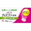 【第3類医薬品】ウィズワン坐剤 30個
