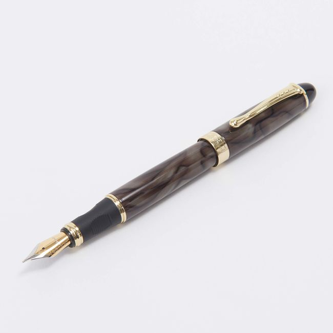 Hmmm!? 0455 Motrude Fountain Pen Fine Point