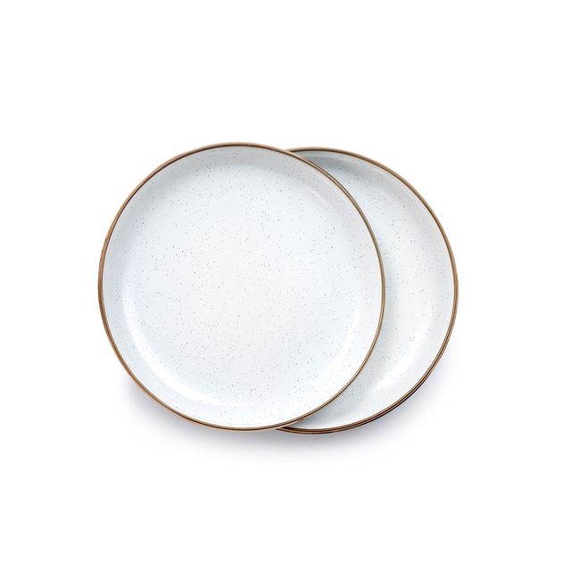 BAREBONES Enamel 8" Salad Plates, Set of 2