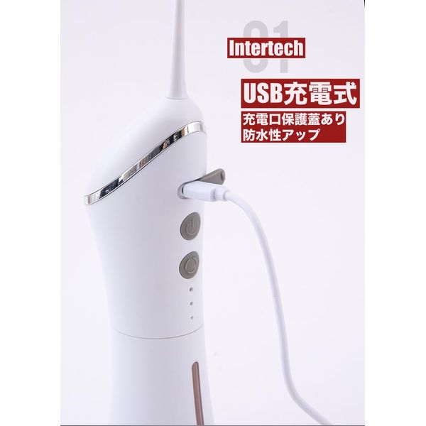 Intertech Oral Washer, Jet Washer, 2 Replacement Nozzles, 3 Modes Adjustment, 150 ML Tank, Water Floss, USB Rechargeable, Oral Purifier, IPX7 Waterproof