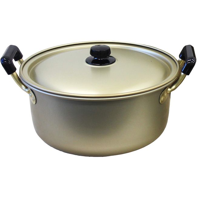 AKAO Double Handed Pot, 10.2 inches (26 cm), Gold