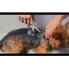 SCAREDY CUT Gentle Pet Grooming Kit for the sensitive Pets, BLUE