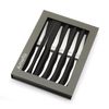 Richardson Sheffield Virgule, 6-teilig Steakmesser Set, silber