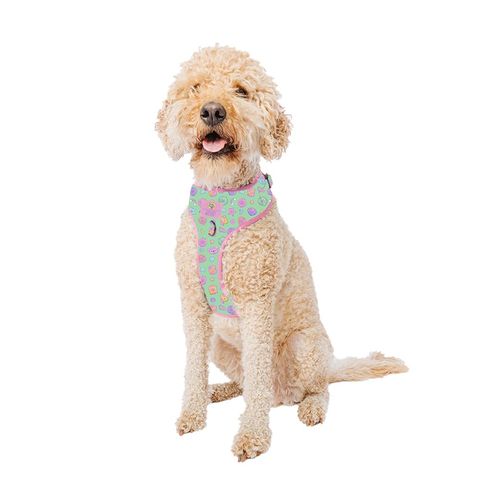 Sassy Woof Dog Adjustable Harness - Polly Pocket™ - L, Breathable Mesh, No Pull Design with Two D-Rings, Perfect for Large Dogs - Officially Licensed