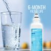 PureH2O PH21130 Refrigerator Water Filter Replacement for GE RPWF